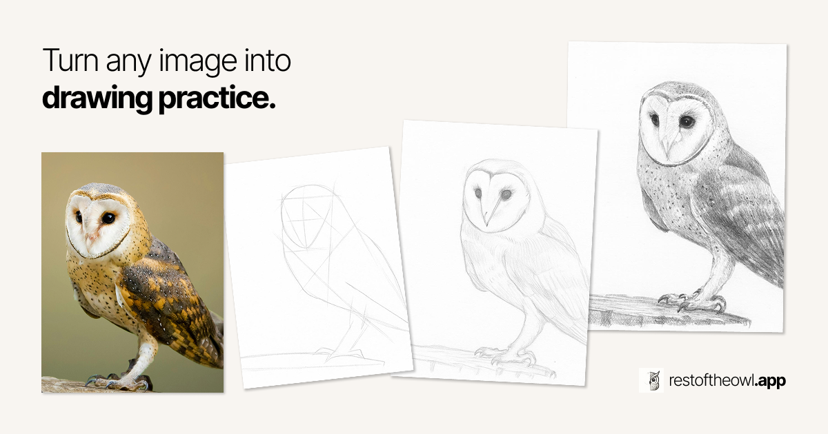 Show HN: I built an app that turns any image into 5-step pencil drawing practice